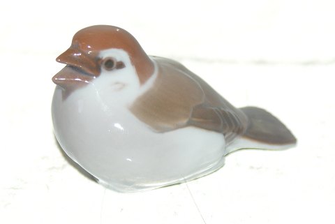 item no: 175852