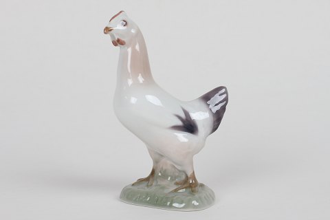 item no: 213621