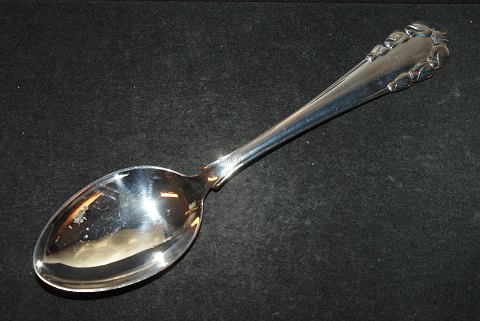 item no: 
409504
