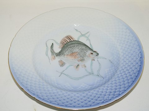item no: 439170
