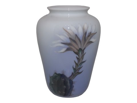 item no: 
556175