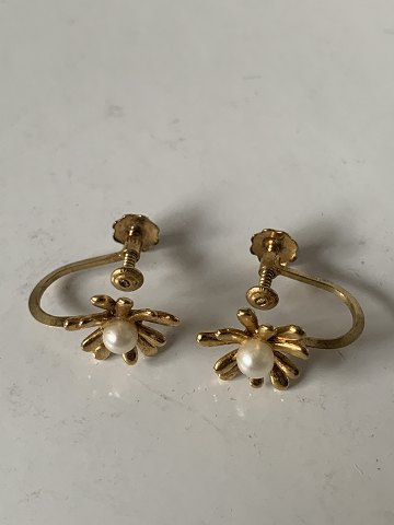 item no: 607831