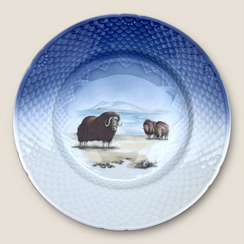 item no: 609011
