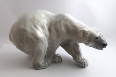 Royal Copenhagen. Porcelænsfigur. Stående Isbjørn. Model 1137. Længde 27 cm. (3 
sortering)