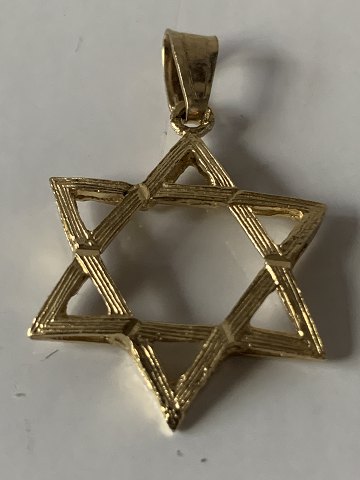 Guld Vedhng / Charms
