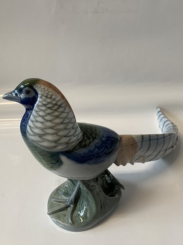 Royal Copenhagen figurine, pheasant.Decoration No. 1881.