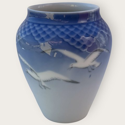 item no: 637831