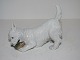 Royal Copenhagen dog figurine
Terrier with slipper