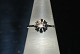 8 Karat White Gold Ring with Diamond
Size 52 / 16.55 mm.