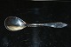 Shared Lily Silver Marmalade
Frigast