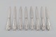 item no:
477317 item no:
477317