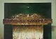 Predrag Stojanovic, Serbian artist.Oil on canvas.