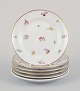 item no:
573917 item no:
573917