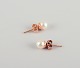 item no:
578364 item no:
578364