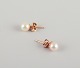 item no:
578365 item no:
578365