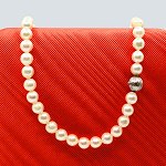 item no:
594407