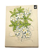vare nr: 608828