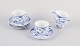 item no:
611145 item no:
611145