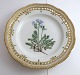 Royal Copenhagen. Flora Danica plate w. open-work border. Diameter 25 cm. Model 3553. (1 quality). Polemonium humile Willd