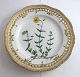 Royal Copenhagen. Flora Danica plate w. open-work border. Diameter 25 cm. Model 3553. (1 quality). Helianthemum vulgare L