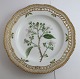 Royal Copenhagen. Flora Danica plate w. open-work border. Diameter 25 cm. Model 3553. (1 quality). Rubus villicanlis Köhl