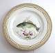Lundin Antique 
presents: 
Royal 
Copenhagen. 
Fauna Danica. 
Fish Plate. 
Dinner plate. 
Model # 19 - 
3549. Diameter 
...