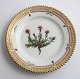 Royal Copenhagen, Flora Danica. Cake plate. Design # 3552. Diameter 14,5 cm. (1 quality). Silene acaulis L