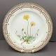 Royal Copenhagen, Flora Danica; Dinnerplate 25,5 cm. No 3549