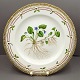 Royal Copenhagen, Flora Danica; Dinnerplate 25,5 cm. No 3549