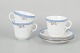 item no:
637093 item no:
637093