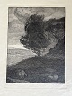 emne nr: 639271