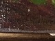 sub: 3