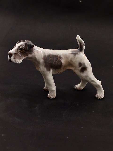 Dahl Jensen Fox Terrier 1009