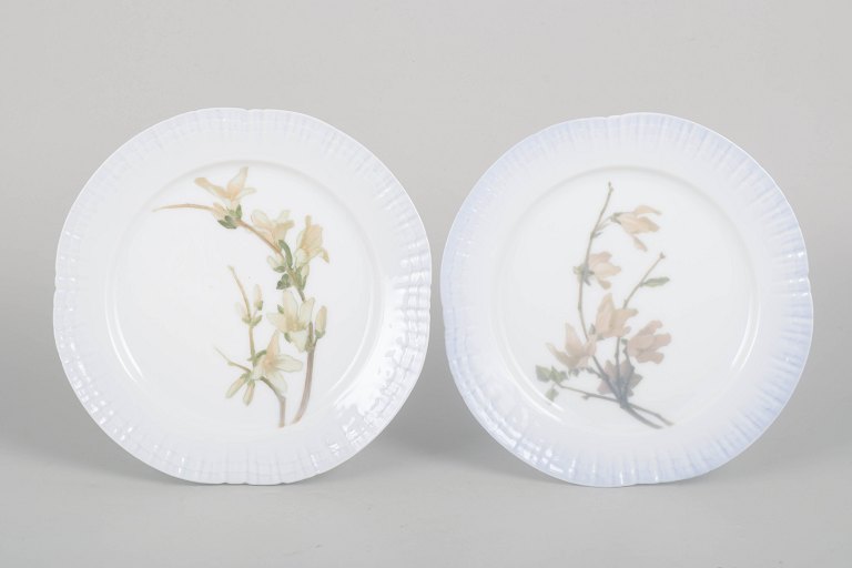 Royal Copenhagen, pair of Art Nouveau plates.