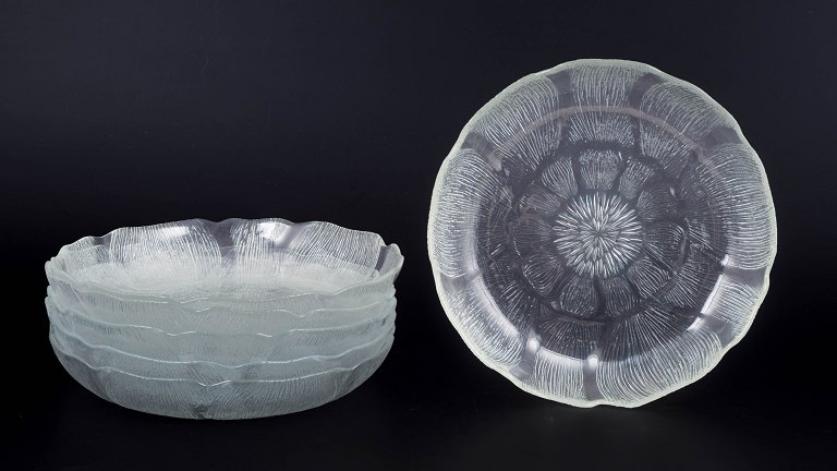 Arcoroc, Fleur, set of six large deep plates.